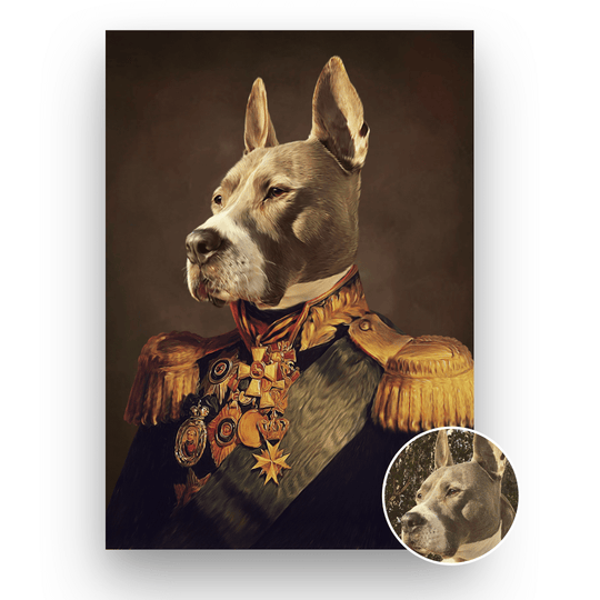 El Veterano III - Retrato de Mascota